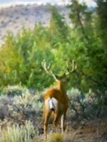 IMG_7971.jpeg