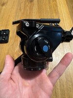 IMG_1003.jpeg