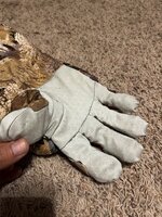 IMG_6610.jpeg