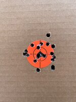 IMG_3447.jpeg