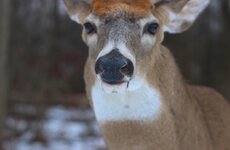 IMG_4715.jpeg