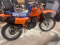 IMG_2256.jpeg