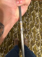 IMG_1173.jpeg