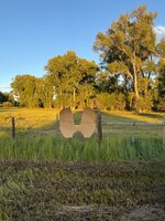 IMG_2265.jpeg