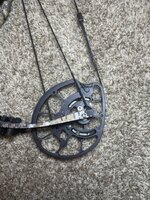 IMG_3613.jpeg