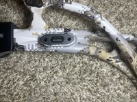 IMG_3621.jpeg