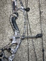 IMG_3614.jpeg