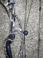 IMG_3615.jpeg