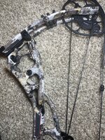 IMG_3616.jpeg