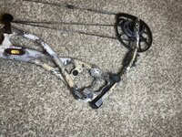 IMG_3620.jpeg