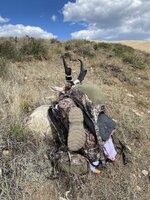 IMG_8202.jpeg