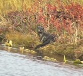 IMG_8801.jpeg