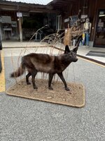 IMG_2505.jpeg
