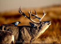 IMG_9761.jpeg