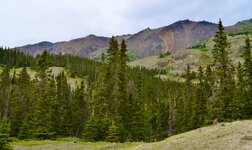 DSC_0608.JPG