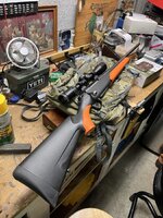 IMG_0818.jpeg