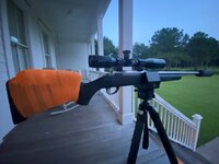 IMG_4273.jpeg