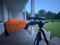IMG_4272.jpeg