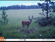 IMG_6580.jpeg