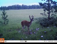 IMG_6581.jpeg