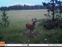 IMG_6582.jpeg