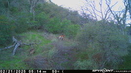 IMG_1926.jpeg