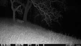 IMG_1816.jpeg