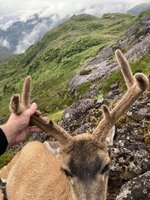 IMG_5227.jpeg