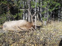 IMG_1350.jpeg