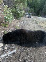 IMG_0063.jpeg