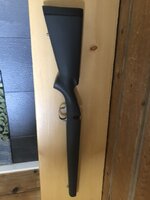 IMG_3429.jpeg