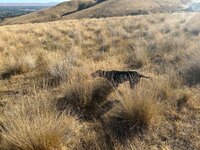 IMG_3045.jpeg