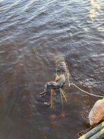 IMG_5796.jpeg