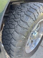 IMG_5769.jpeg