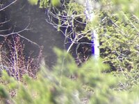 IMG_3151.jpeg