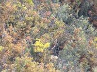 IMG_0787.jpeg