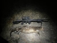 IMG_1771.jpeg