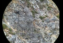 IMG_1359.jpeg