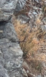 IMG_1364.jpeg