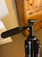 IMG_5064.jpeg