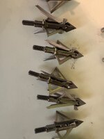 IMG_7178.jpeg