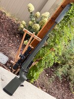 IMG_0406.jpeg