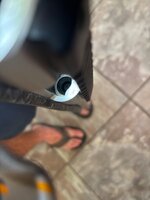 IMG_8924.jpeg