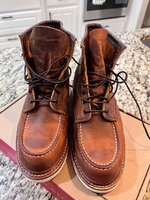 IMG_6305.jpeg