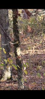 IMG_1962.png