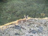 IMG_8581.jpeg