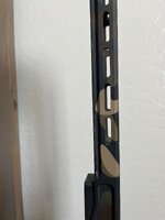 IMG_9203.jpeg