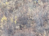 IMG_1120.jpeg