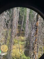 IMG_0793.jpeg