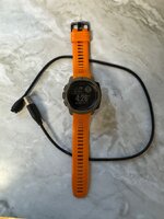 IMG_6540.jpeg